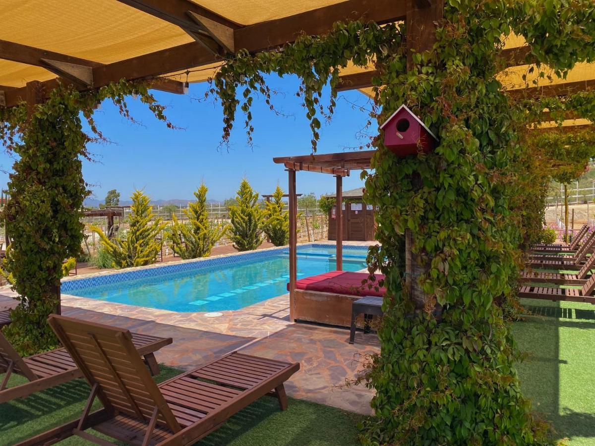 Entrevalle Hotel Boutique Вале де Гуадалупе Екстериор снимка