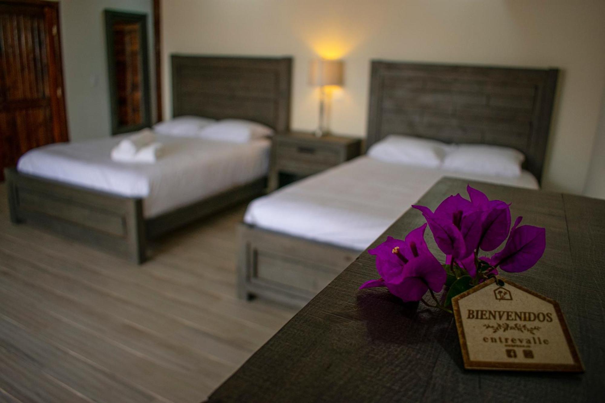 Entrevalle Hotel Boutique Вале де Гуадалупе Стая снимка